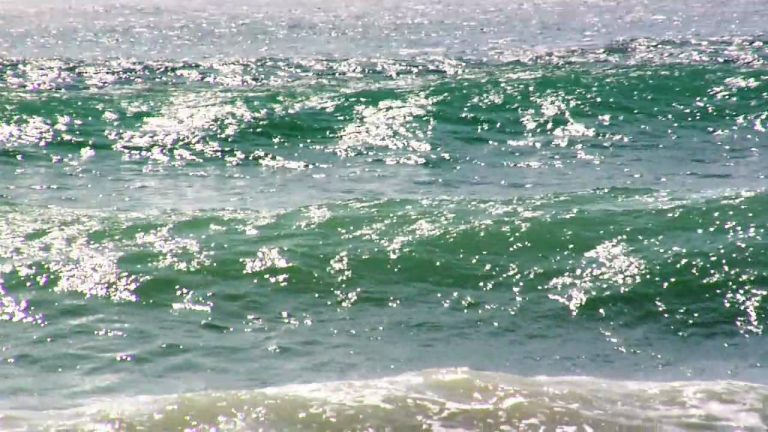 Taiwan Skimboarding Mini Movie